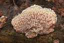 BUITEN BEELD Foto: 263311