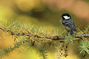 BUITEN BEELD Foto: 263324
