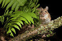 BUITEN BEELD Foto: 263348