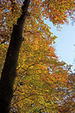 BUITEN BEELD Foto: 263367