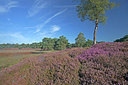 BUITEN BEELD Foto: 263404