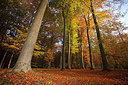 BUITEN BEELD Foto: 263405
