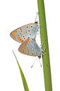 BUITEN BEELD Foto: 263424
