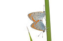 BUITEN BEELD Foto: 263425