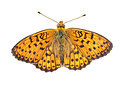 BUITEN BEELD Foto: 263434
