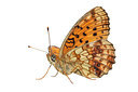 BUITEN BEELD Foto: 263449