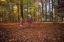 BUITEN BEELD Foto: 263465