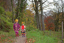 BUITEN BEELD Foto: 263473