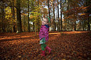 BUITEN BEELD Foto: 263476
