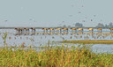 BUITEN BEELD Foto: 263556