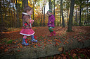 BUITEN BEELD Foto: 263592