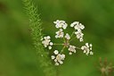 BUITEN BEELD Foto: 263624