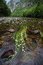 BUITEN BEELD Foto: 263662