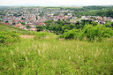 BUITEN BEELD Foto: 263700