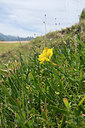 BUITEN BEELD Foto: 263722