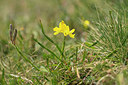 BUITEN BEELD Foto: 263725