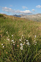 BUITEN BEELD Foto: 263742