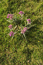BUITEN BEELD Foto: 263744
