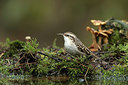 BUITEN BEELD Foto: 263819