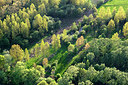 BUITEN BEELD Foto: 263904