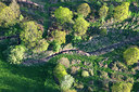 BUITEN BEELD Foto: 263909