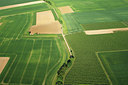 BUITEN BEELD Foto: 264006