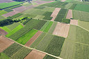 BUITEN BEELD Foto: 264026