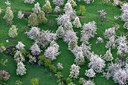 BUITEN BEELD Foto: 264121