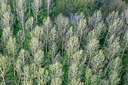 BUITEN BEELD Foto: 264134