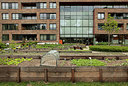 BUITEN BEELD Foto: 264152