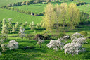 BUITEN BEELD Foto: 264216