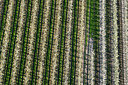 BUITEN BEELD Foto: 264220
