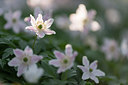 BUITEN BEELD Foto: 264257