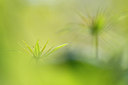 BUITEN BEELD Foto: 264269