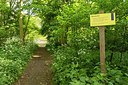 BUITEN BEELD Foto: 264302