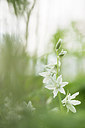 BUITEN BEELD Foto: 264309