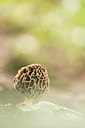 BUITEN BEELD Foto: 264319