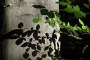 BUITEN BEELD Foto: 264326