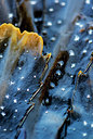 BUITEN BEELD Foto: 264371
