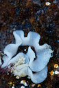 BUITEN BEELD Foto: 264373
