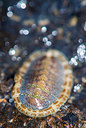 BUITEN BEELD Foto: 264446