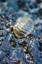 BUITEN BEELD Foto: 264460