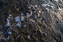 BUITEN BEELD Foto: 264468
