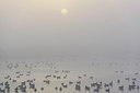BUITEN BEELD Foto: 264474