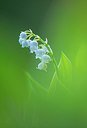 BUITEN BEELD Foto: 264496