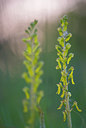 BUITEN BEELD Foto: 264518