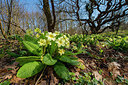 BUITEN BEELD Foto: 264540