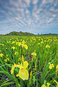 BUITEN BEELD Foto: 264600