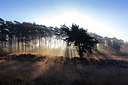BUITEN BEELD Foto: 264637