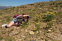 BUITEN BEELD Foto: 264650